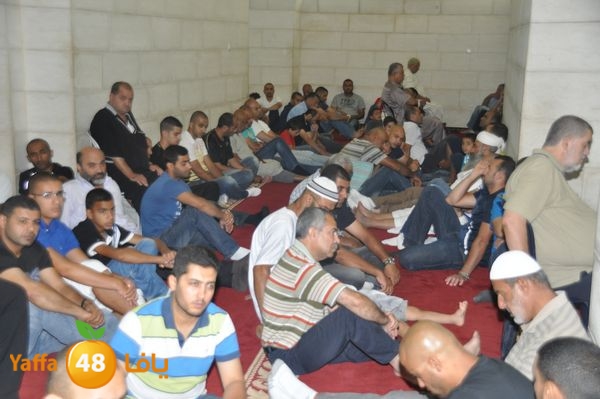 bazsalah lud 712 (4).JPG